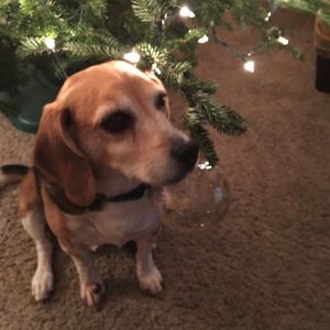 Meet your Posher, Sue